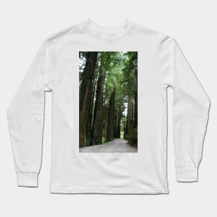 Redwood Trail - Crescent City, CA Long Sleeve T-Shirt